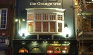 Thumbnail_orange_tree_leicester