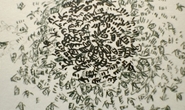 Thumbnail_bee_swarm_leahyinsokol